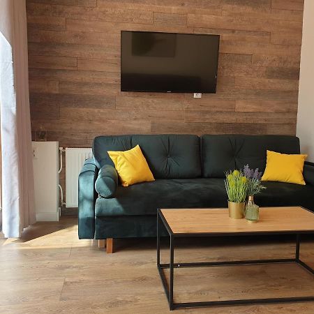 Апартаменты Apartament Milionova Лодзь Экстерьер фото